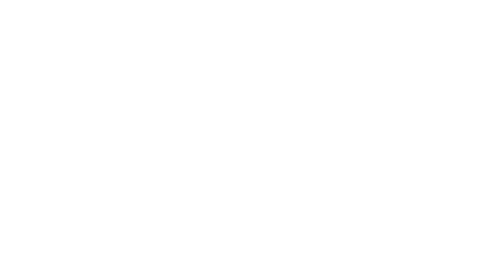 bizSafe3